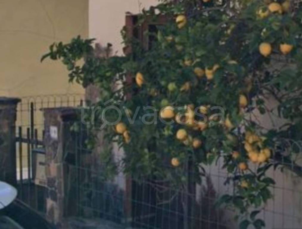 immagine annuncio 4 di 14