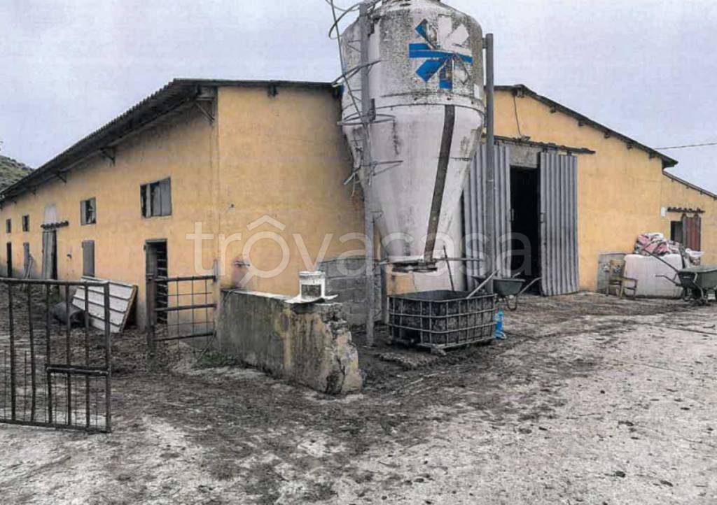 immagine annuncio 10 di 11