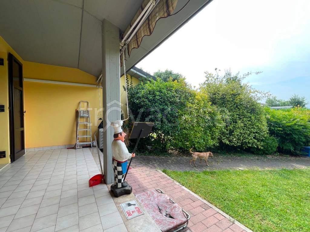 immagine annuncio 2 di 15