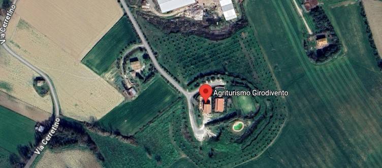 immagine annuncio 1 di 12