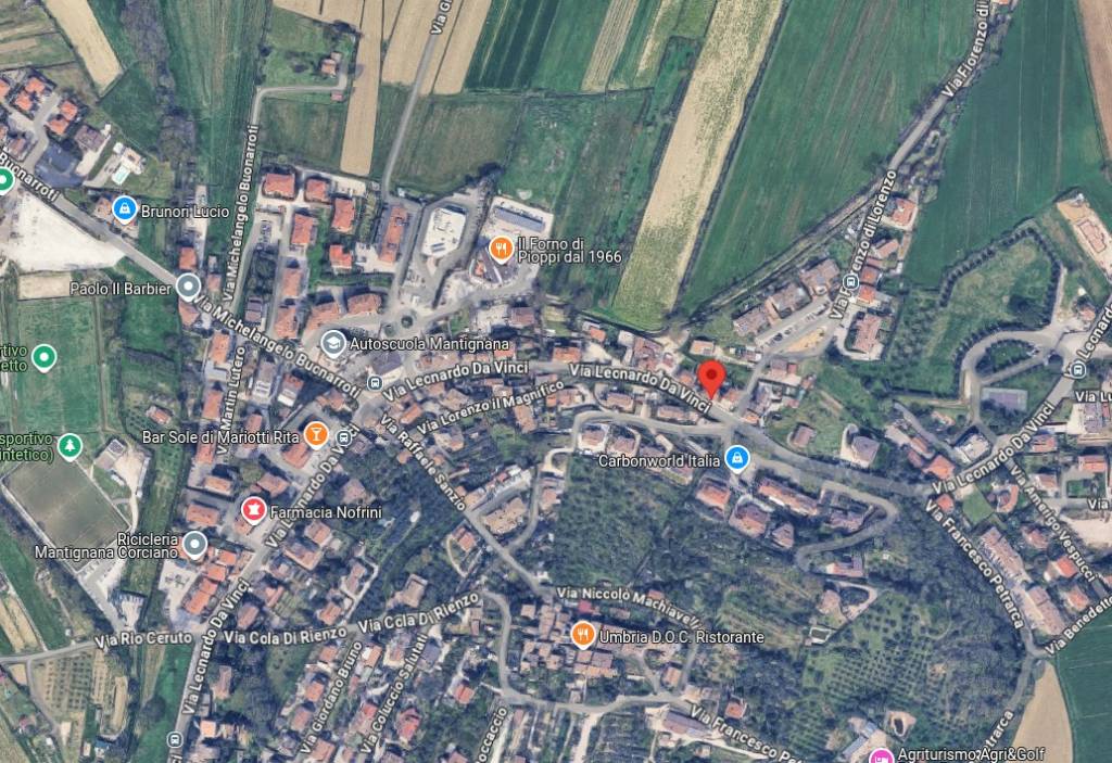 immagine annuncio 1 di 14