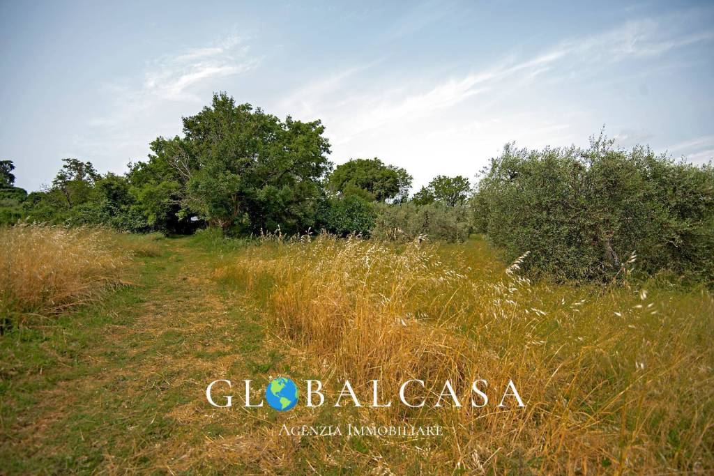 immagine annuncio 11 di 15