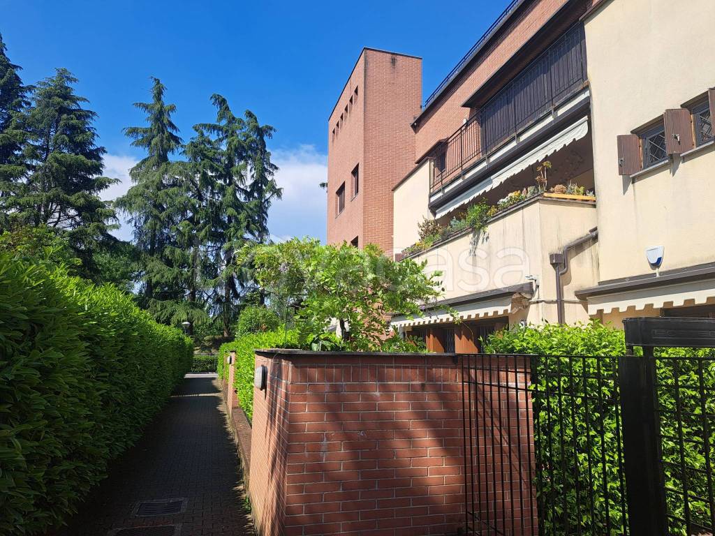 immagine annuncio 5 di 15
