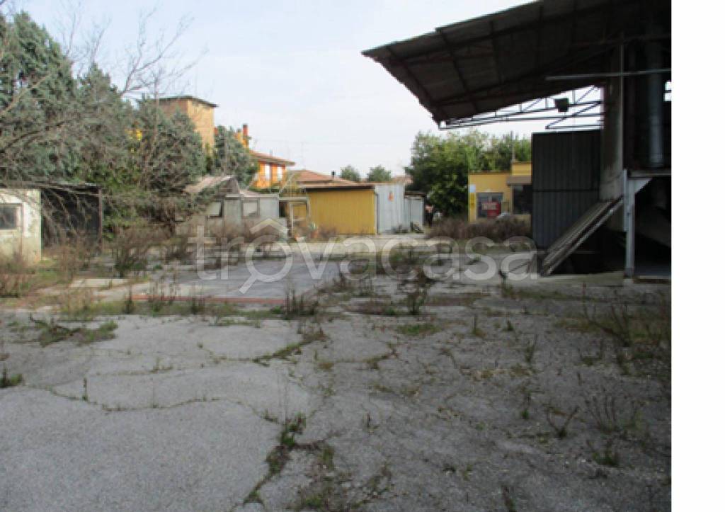 immagine annuncio 9 di 11