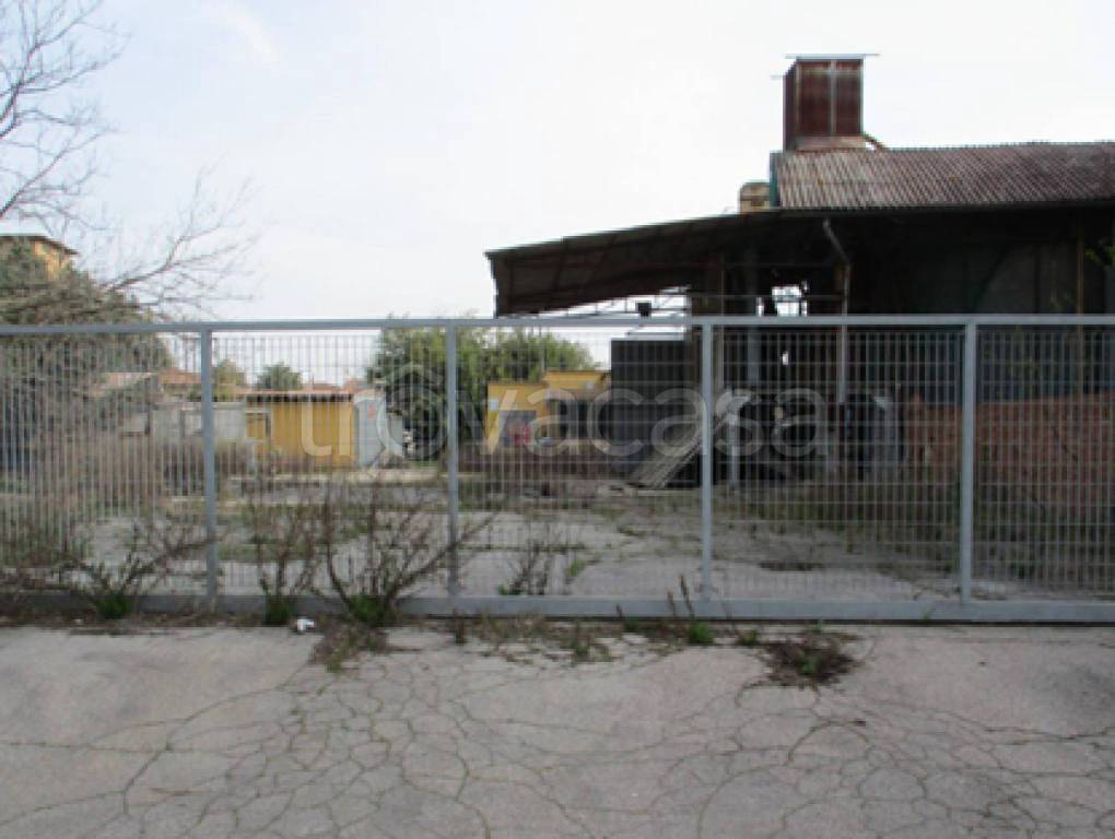 immagine annuncio 10 di 11