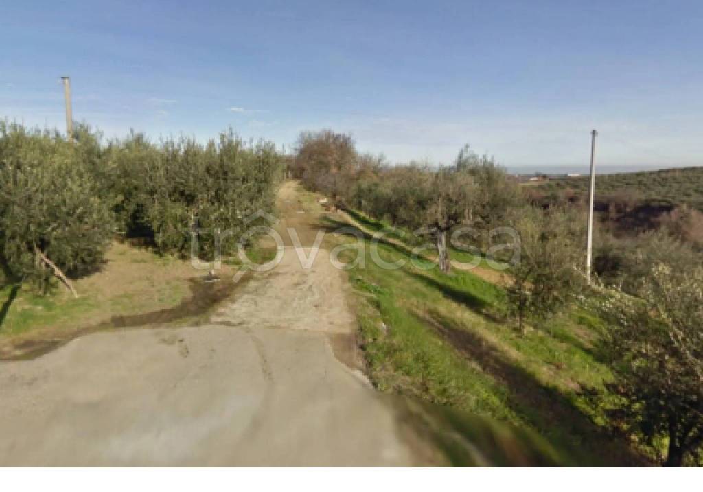 immagine annuncio 3 di 11
