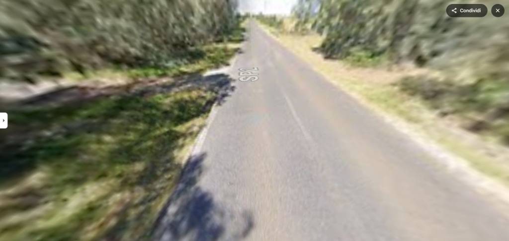 immagine annuncio 1 di 11