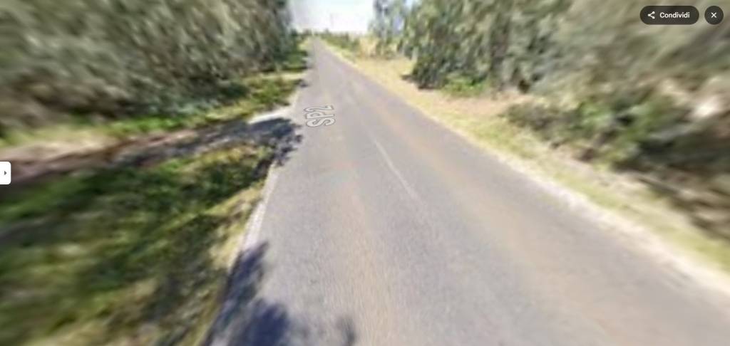immagine annuncio 9 di 11