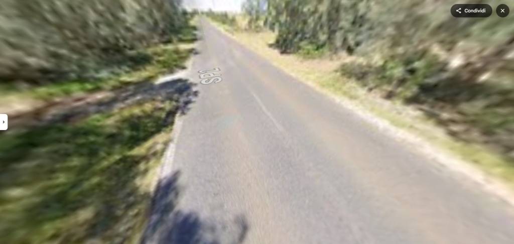 immagine annuncio 10 di 11