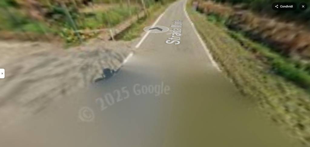immagine annuncio 4 di 12