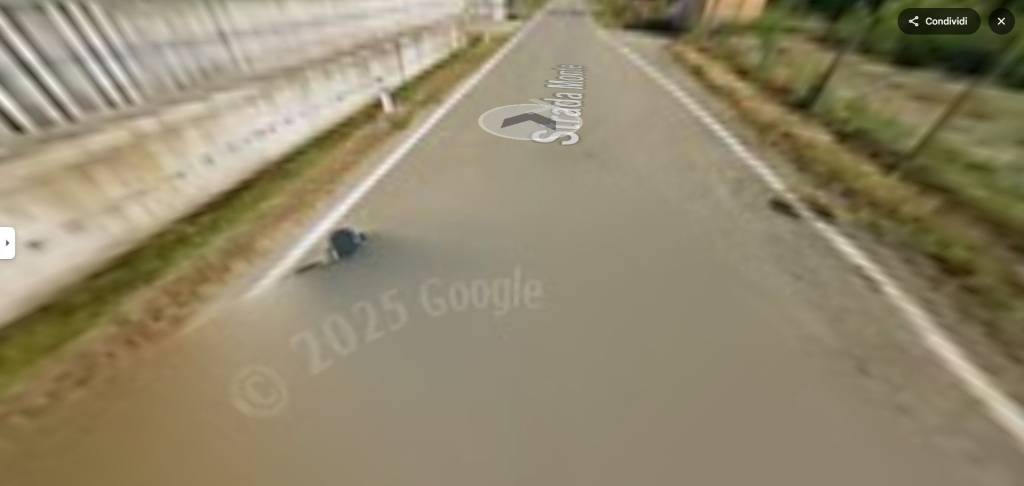 immagine annuncio 6 di 12
