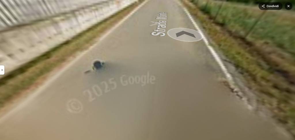 immagine annuncio 8 di 12
