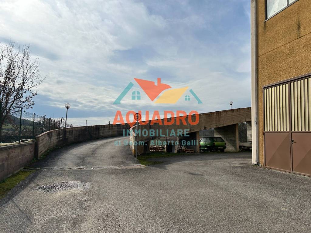 immagine annuncio 2 di 3
