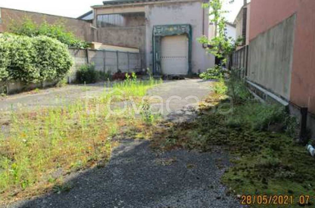 immagine annuncio 3 di 11