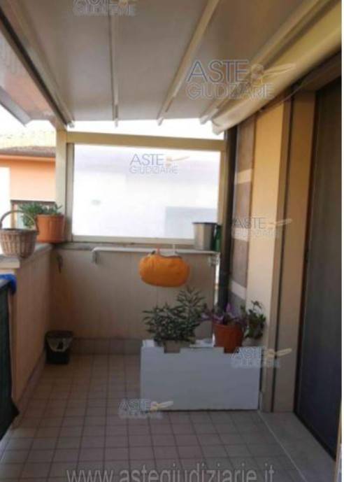 immagine annuncio 6 di 14