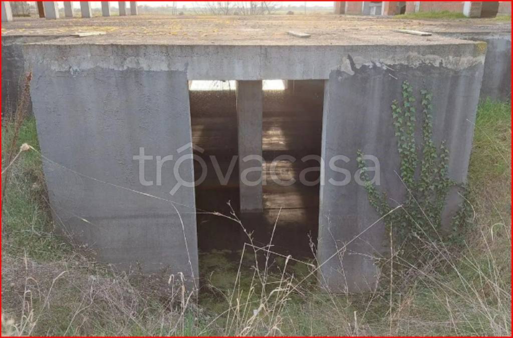immagine annuncio 8 di 14