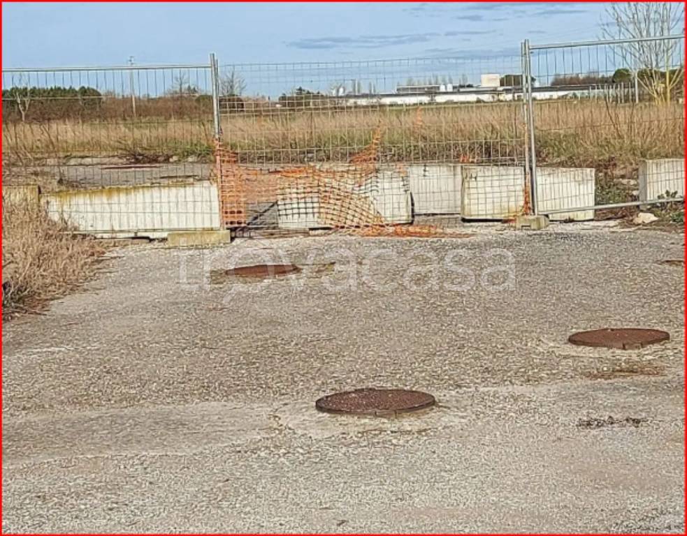 immagine annuncio 9 di 12