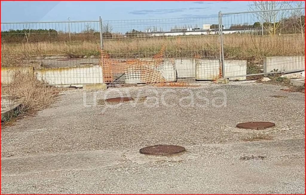 immagine annuncio 5 di 12