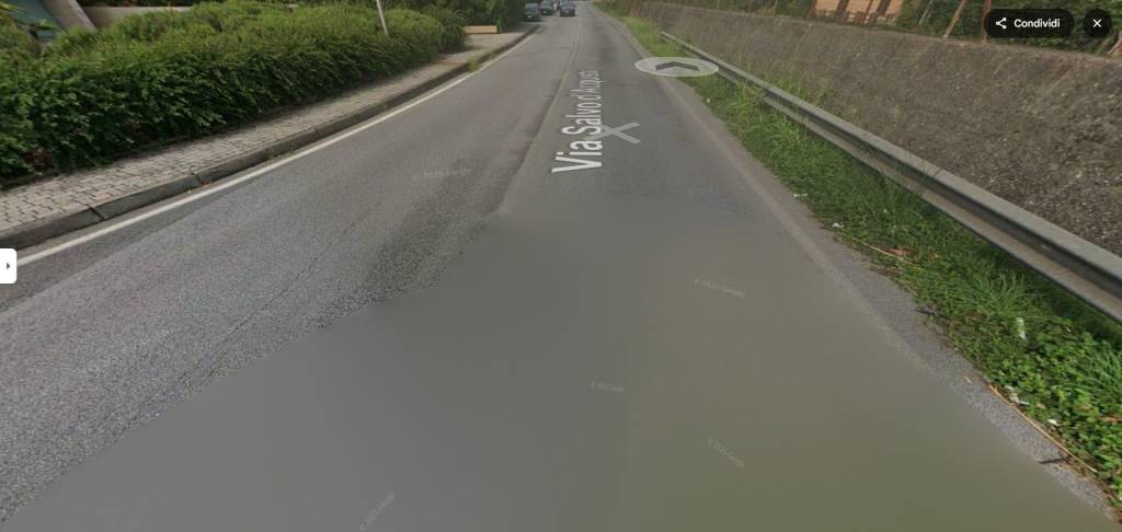 immagine annuncio 3 di 11
