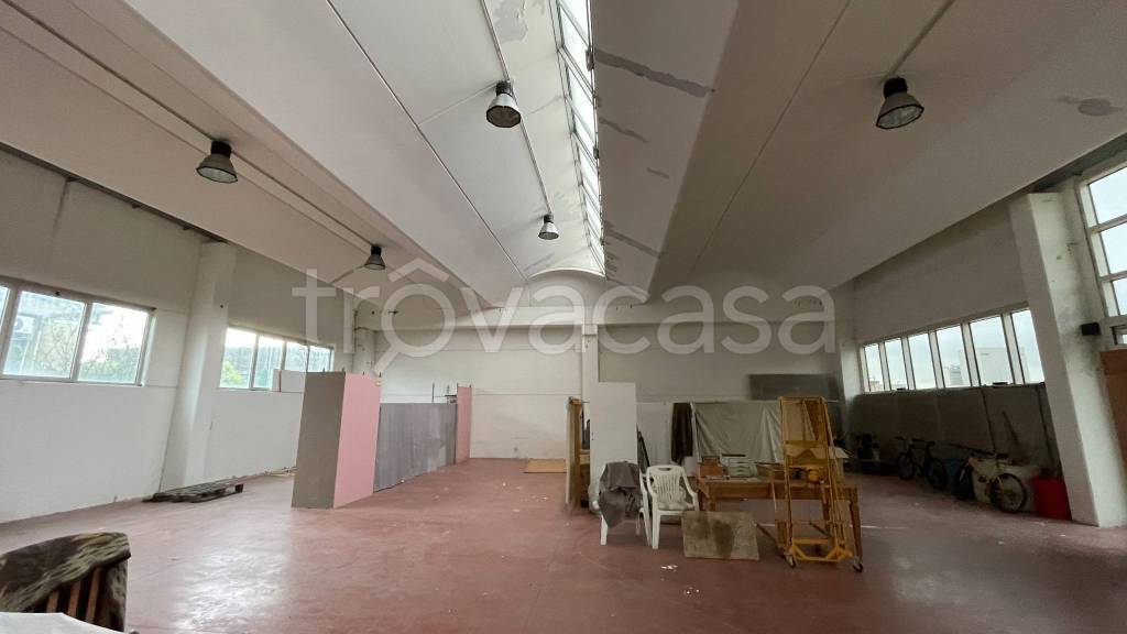 immagine annuncio 7 di 11
