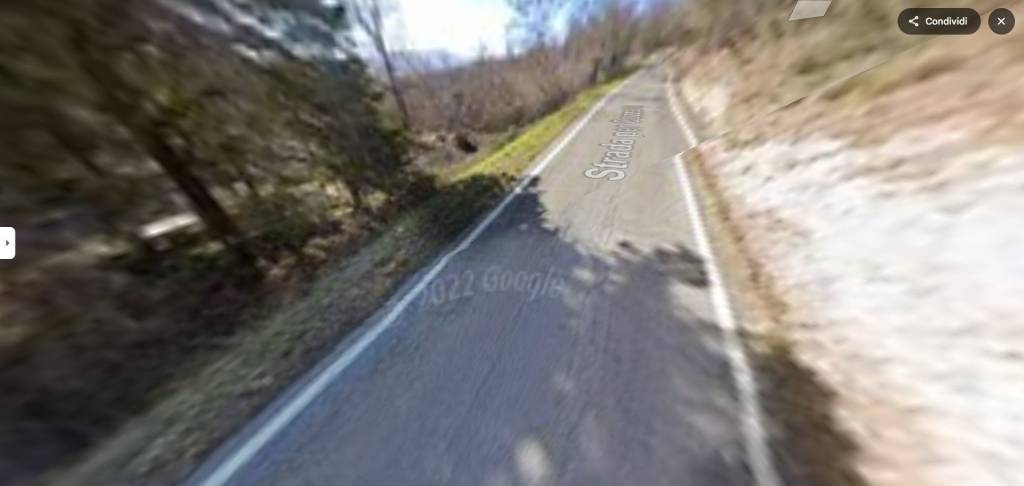 immagine annuncio 12 di 14
