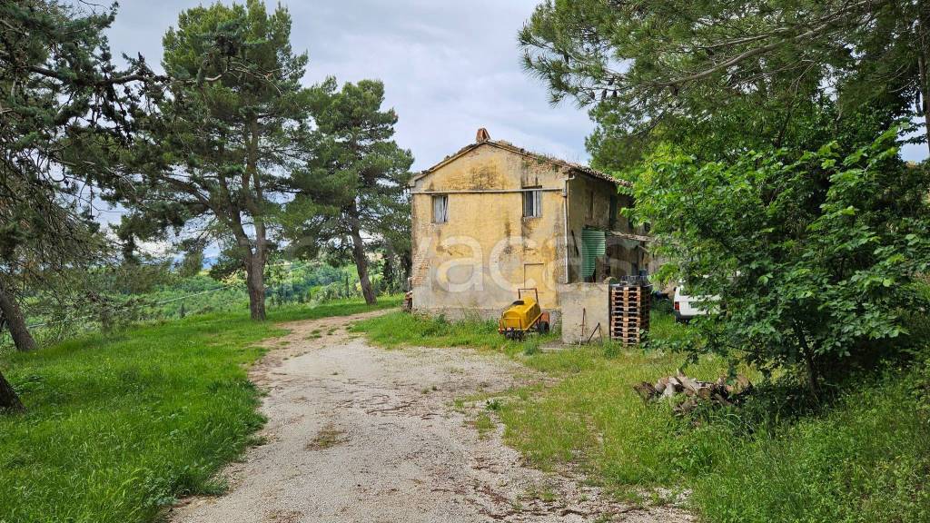 immagine annuncio 5 di 12
