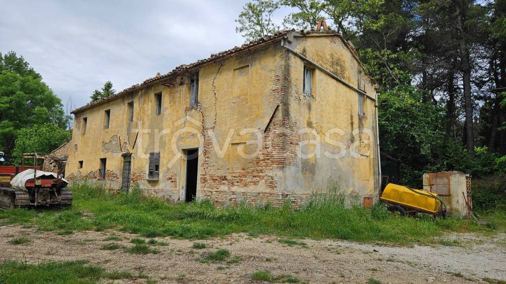 immagine annuncio 6 di 12