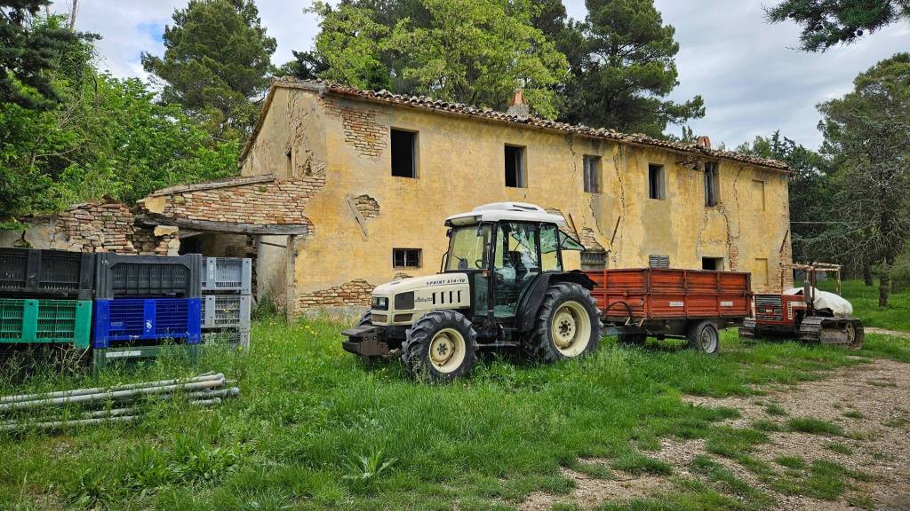 immagine annuncio 7 di 12