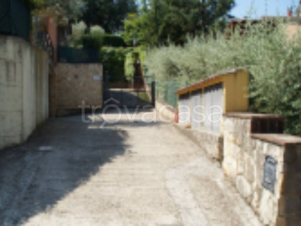 immagine annuncio 9 di 14