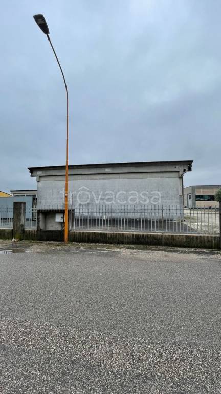 immagine annuncio 3 di 11