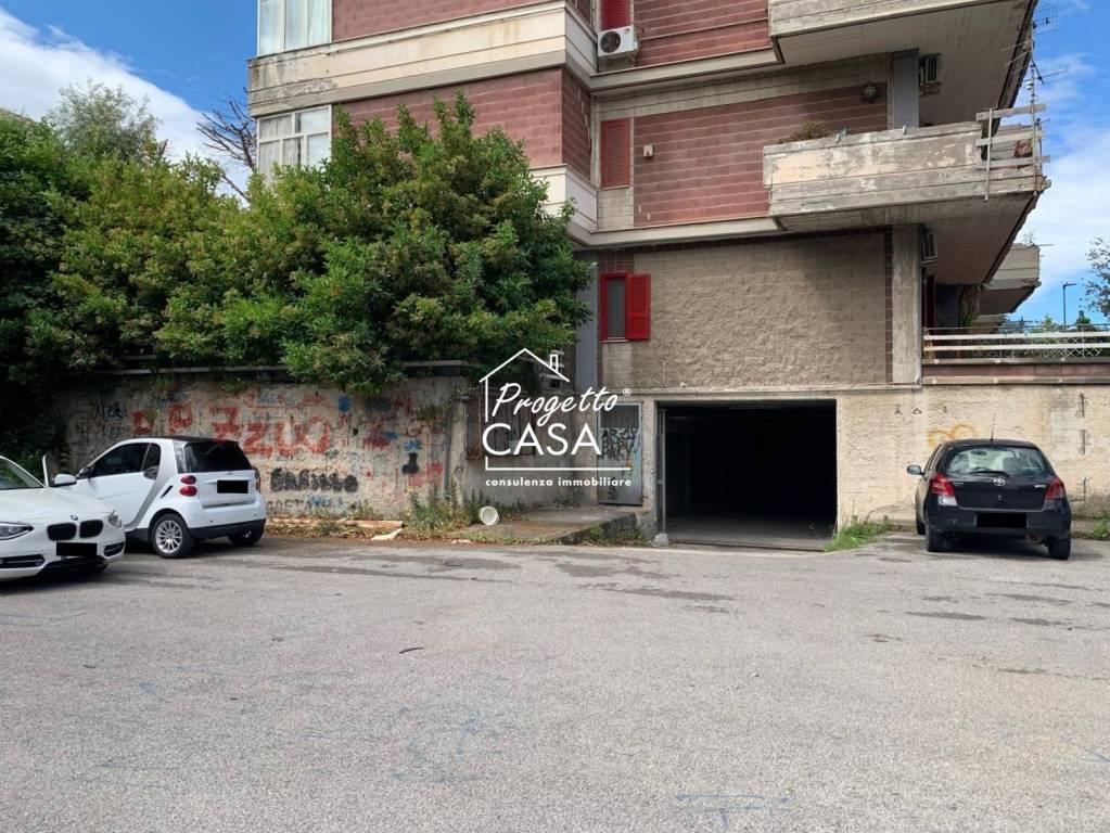 immagine annuncio 2 di 14