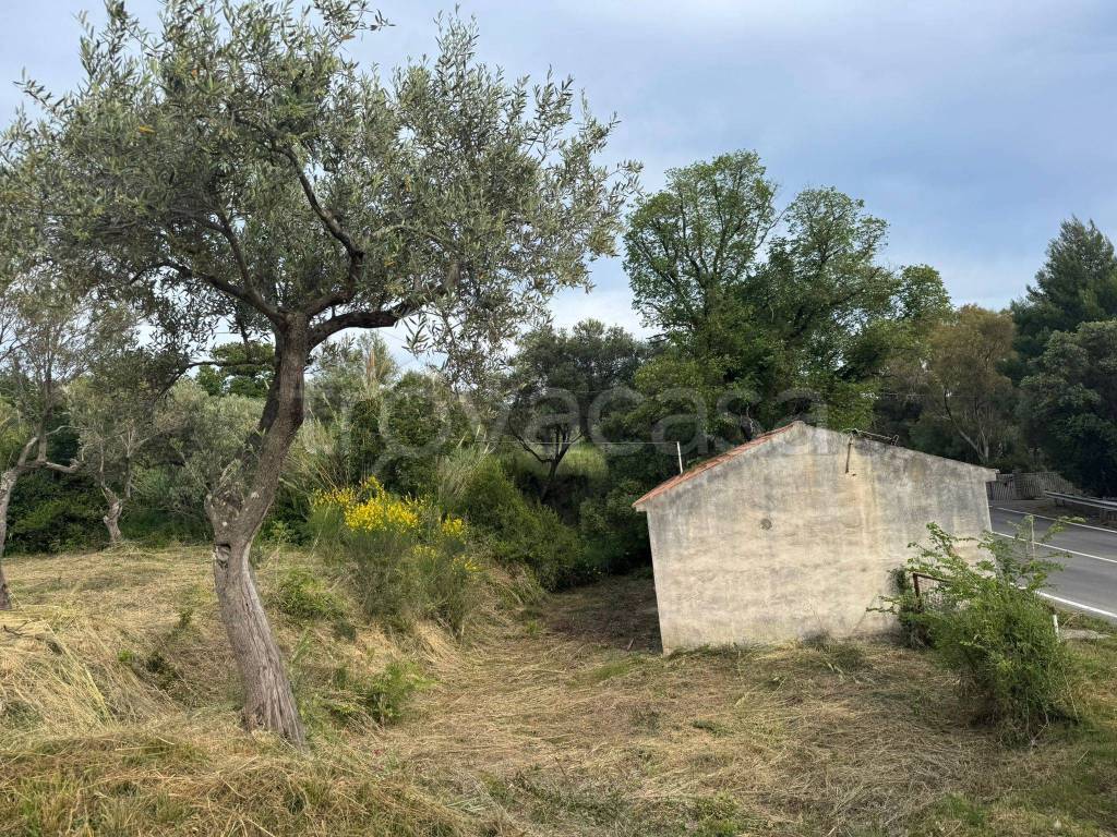 immagine annuncio 8 di 9