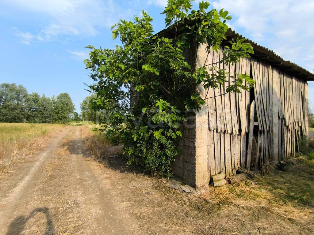 immagine annuncio 4 di 13