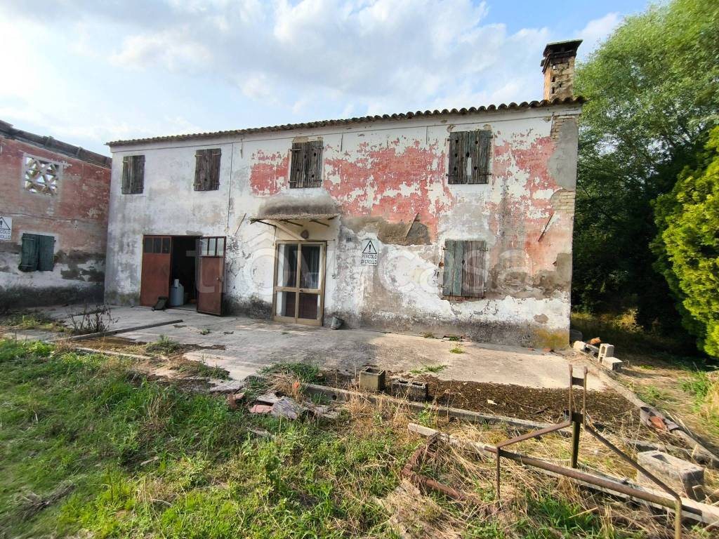immagine annuncio 5 di 13