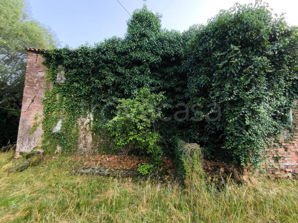 immagine annuncio 11 di 13