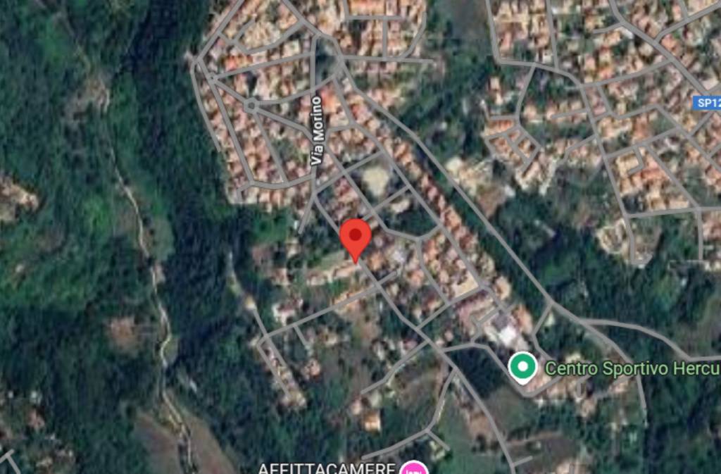 immagine annuncio 10 di 13
