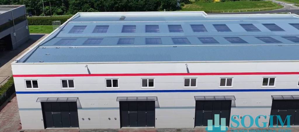 immagine annuncio 1 di 11