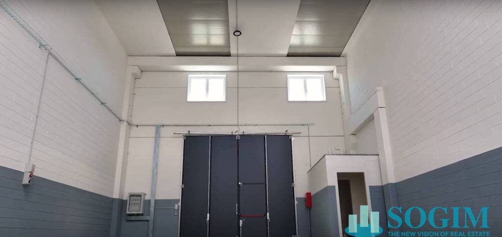 immagine annuncio 8 di 11