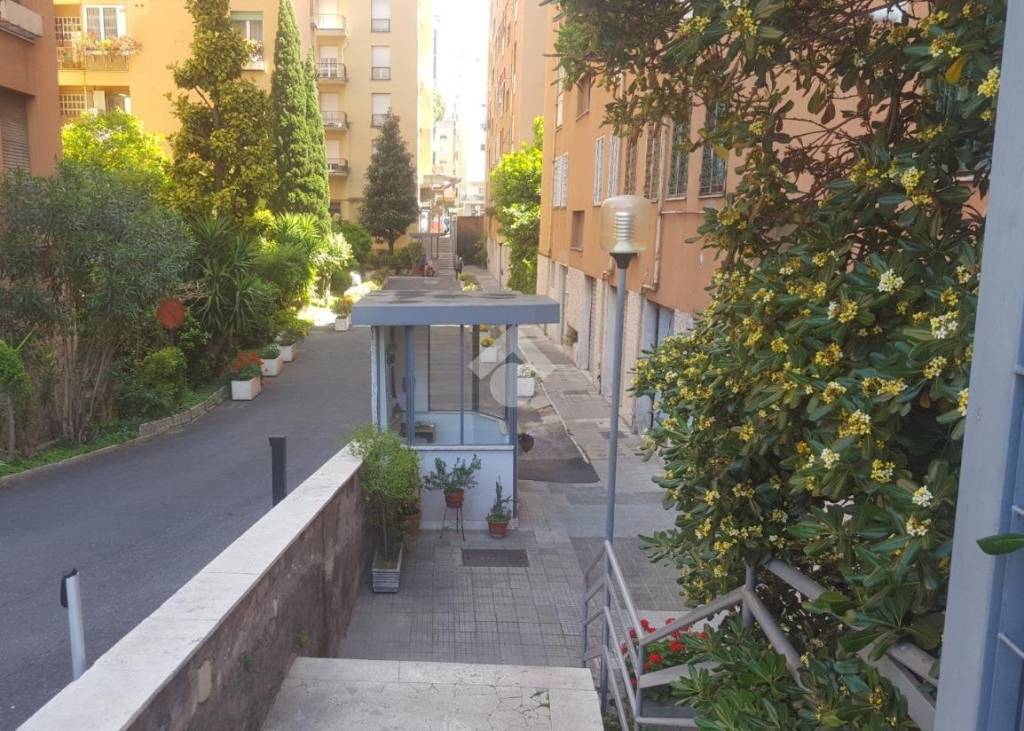 immagine annuncio 10 di 14