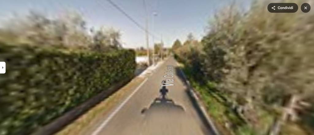 immagine annuncio 5 di 11
