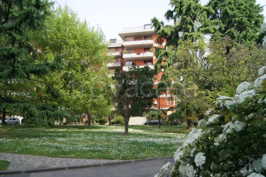 immagine annuncio 2 di 9