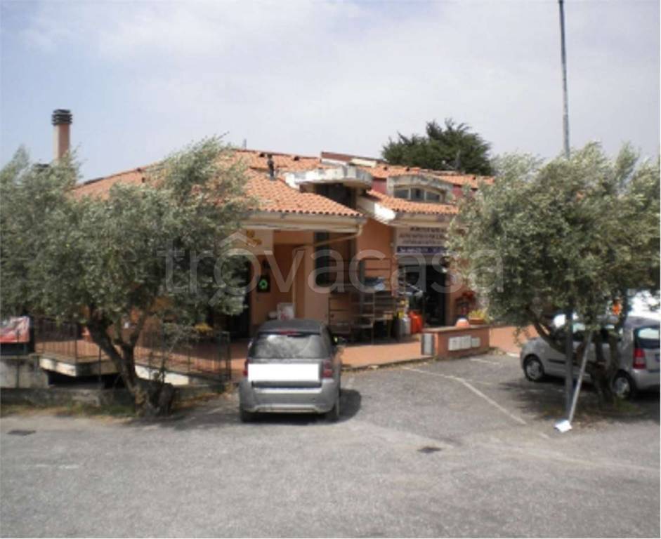 immagine annuncio 3 di 9