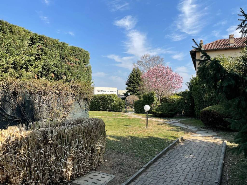 immagine annuncio 3 di 15