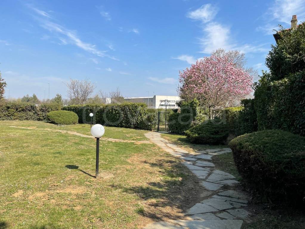 immagine annuncio 5 di 15