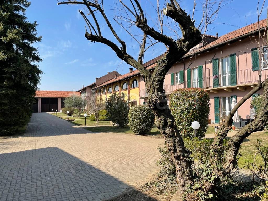 immagine annuncio 2 di 15