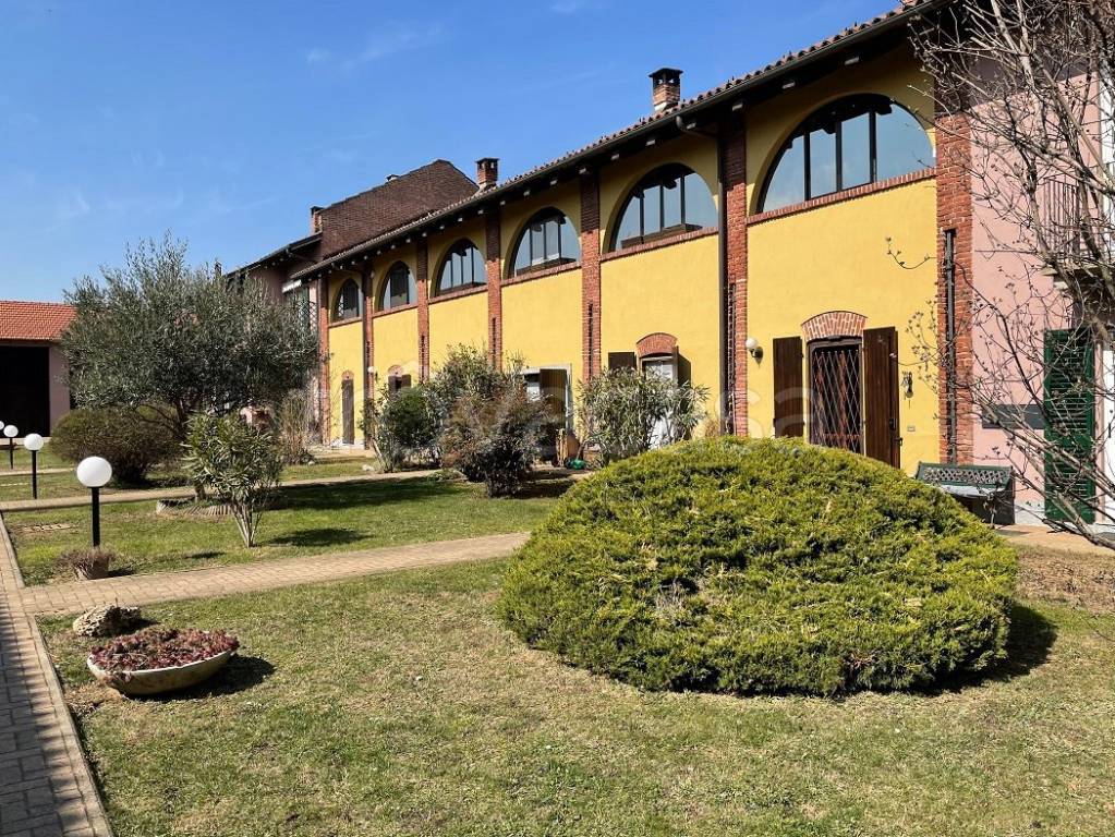 immagine annuncio 9 di 15