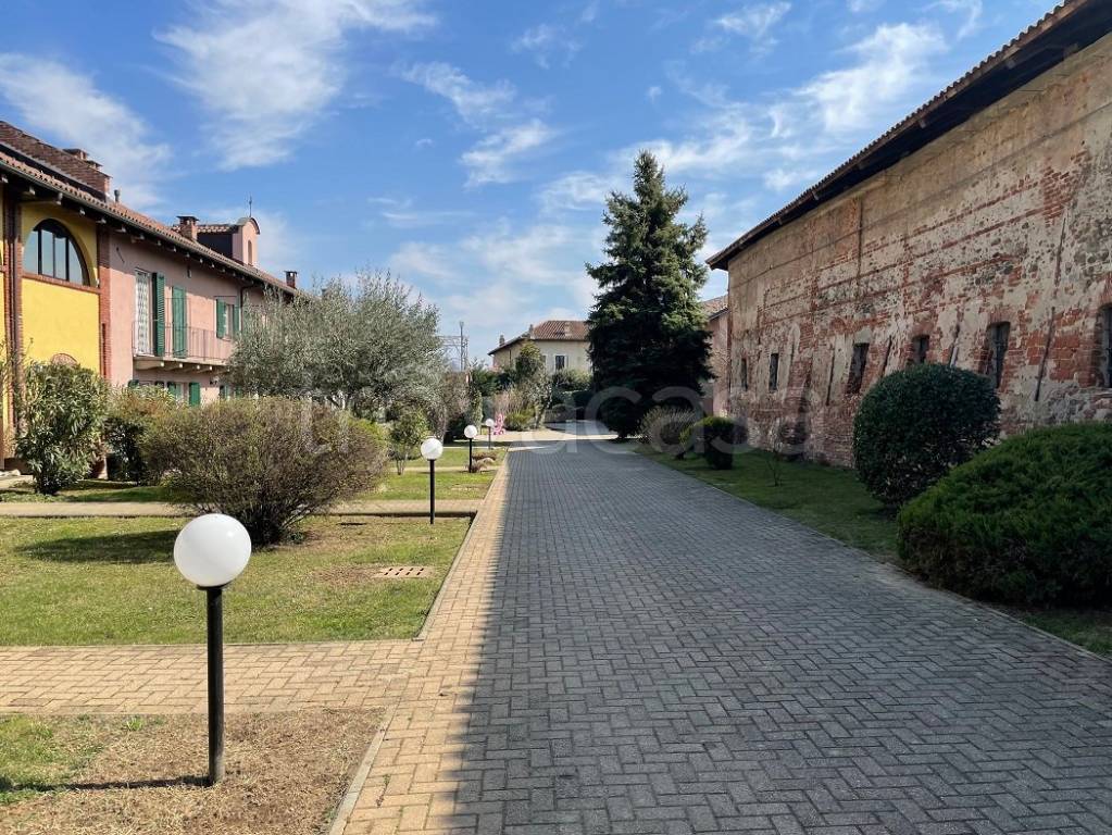 immagine annuncio 11 di 15