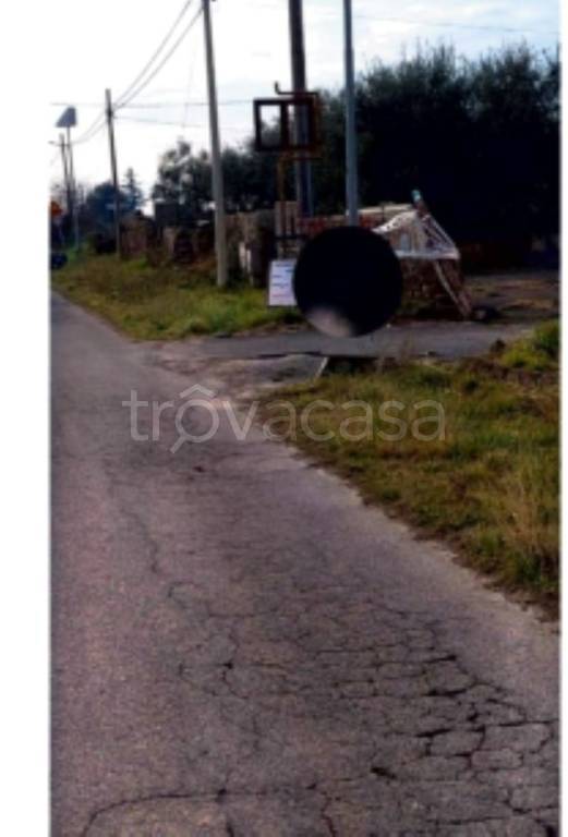 immagine annuncio 2 di 11