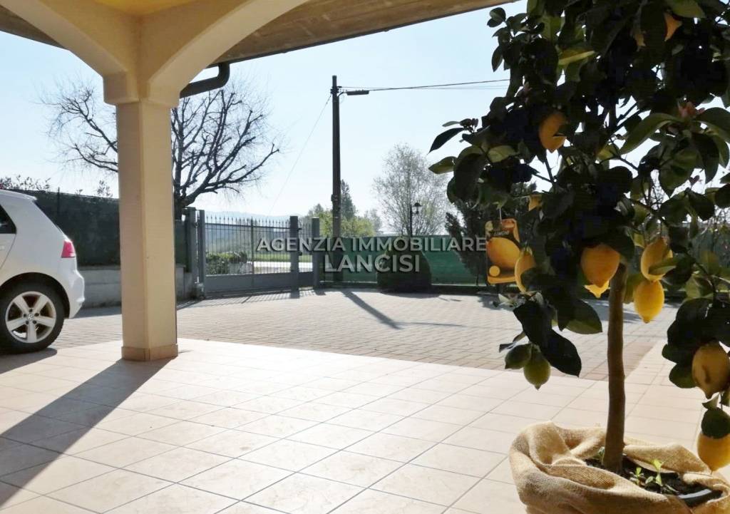 immagine annuncio 8 di 11