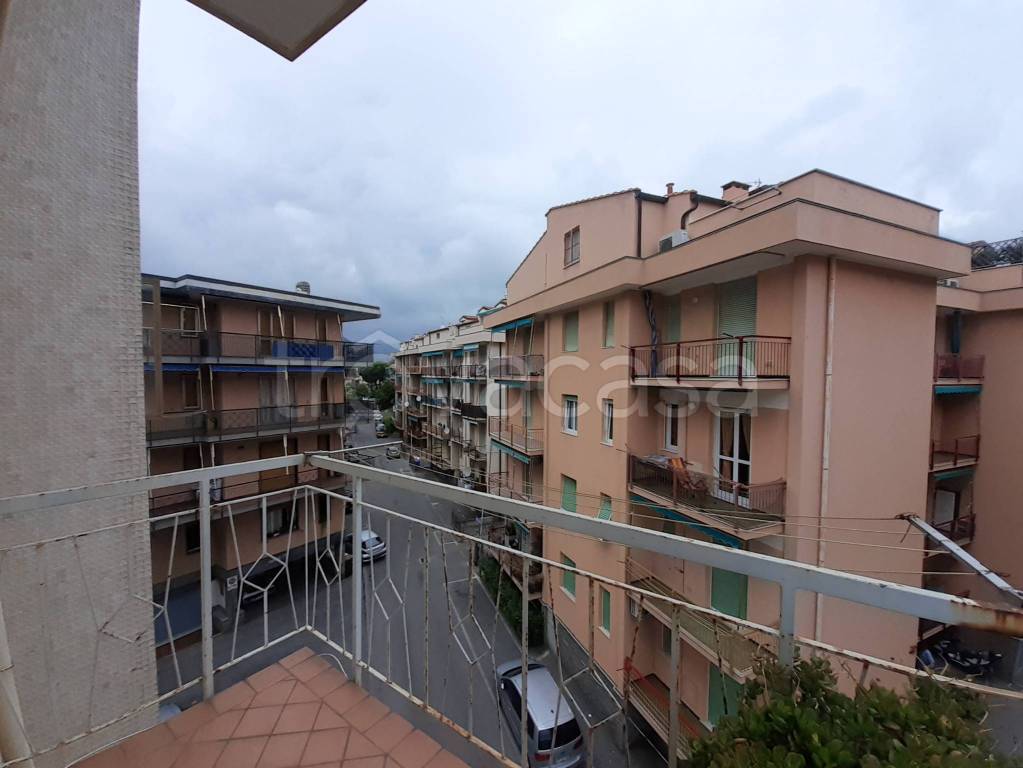 immagine annuncio 12 di 14